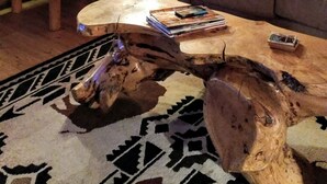 智能电视、壁炉、DVD 播放器、书