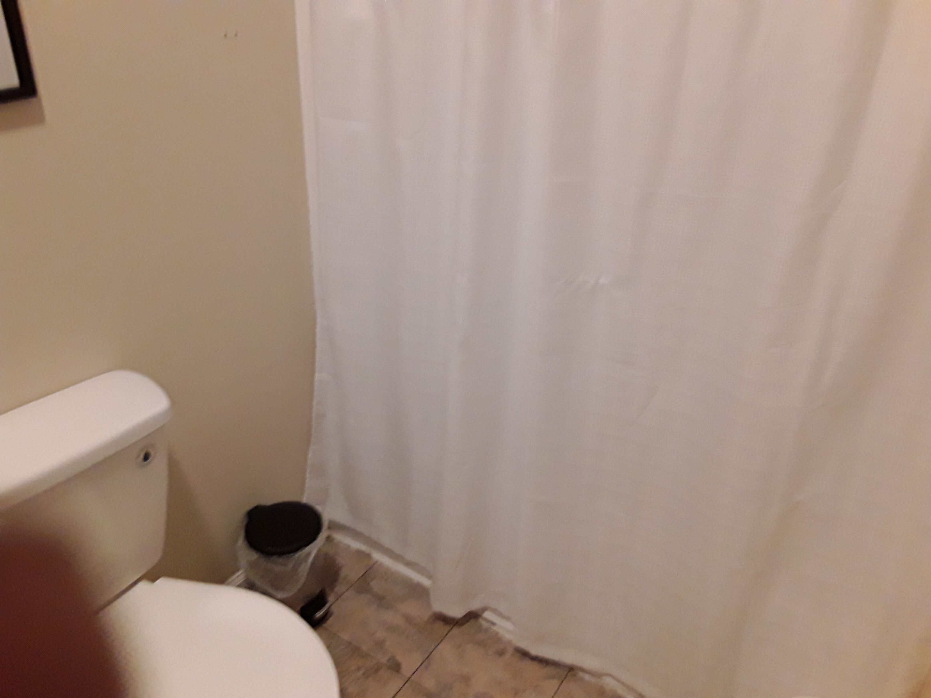 Une salle de bain avec des toilettes, une poubelle et un rideau de douche.