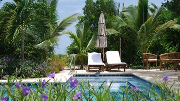 Una piscina al aire libre, una piscina climatizada