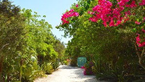 A pathway through a garden with lush greenery and pink flowers.