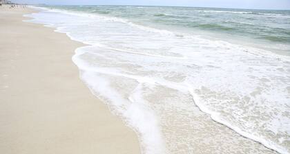 Amelia Island Ocean Front Ground Floor Condo- Construction Discount