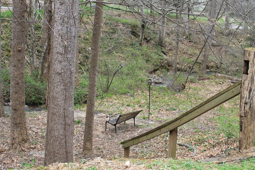 Experience the Best of Western North Carolina Near Asheville