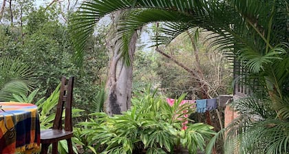 Lovely 2 bedroom Jungle Retreat, "Private" Beach Nearby.