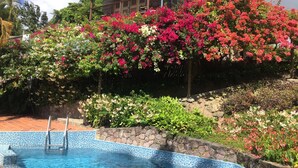 Une piscine dont le bord est orné de mosaïques, entourée d’une végétation luxuriante et de magnifiques fleurs de bougainvillier.