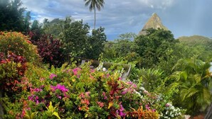 Un jardin luxuriant, doté d’une végétation variée, avec une formation rocheuse imposante en arrière-plan.