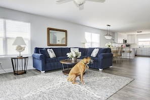 Smart TV, fireplace, video library