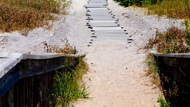 A wooden boardwalk leading to a sandy beach with a clear view of the ocean. - Oceanfront! Fenced in back yard! Pet Friendly! Come visit anytime   👍 (Brigantine)
