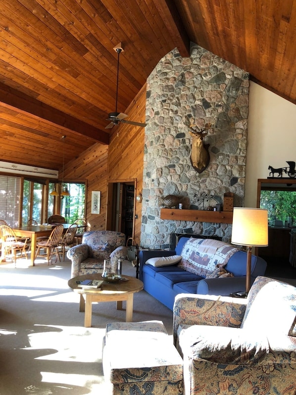 Smart TV, fireplace, DVD player, books