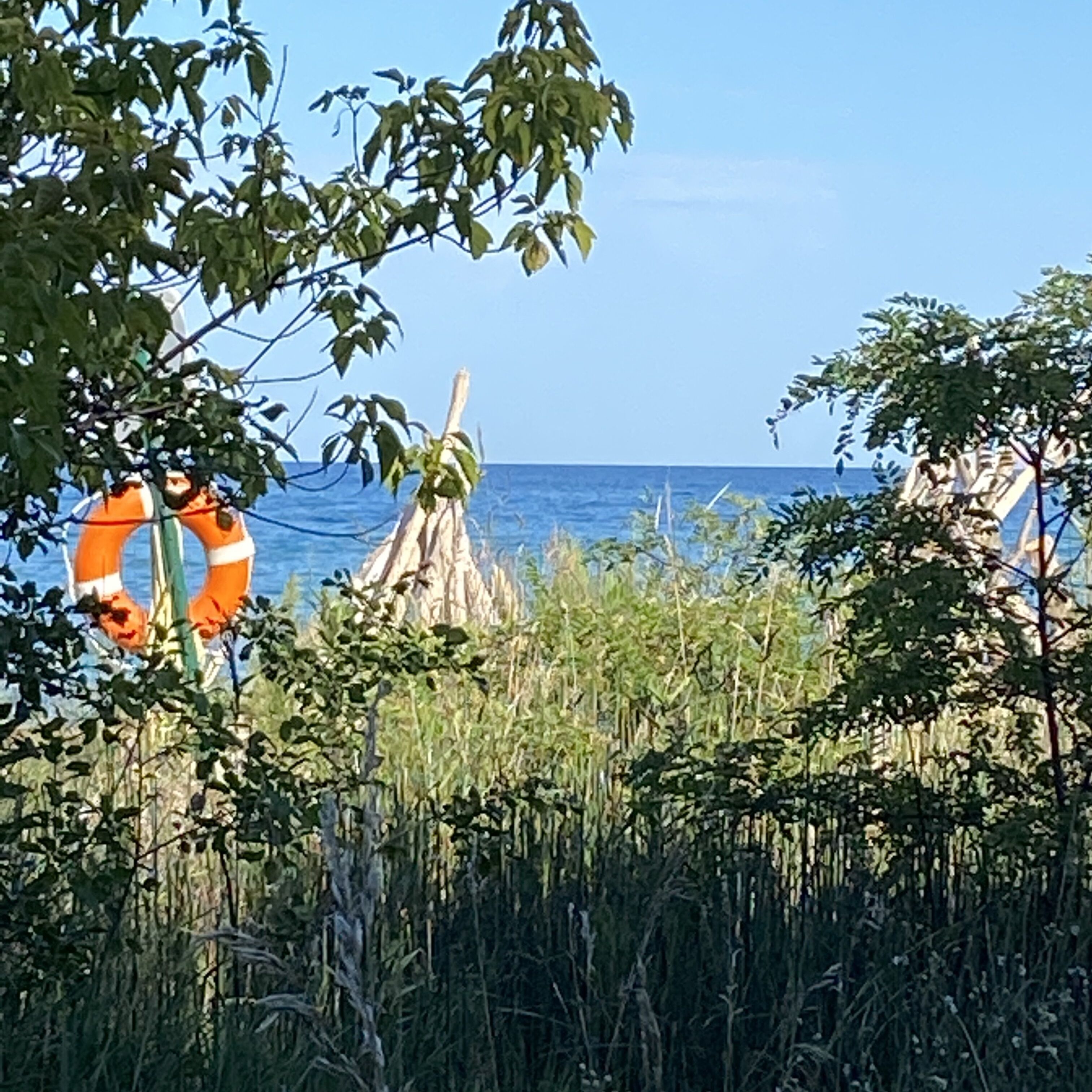Une scène de plage avec une bouée de sauvetage, une végétation luxuriante et une vue dégagée sur l’océan.