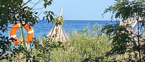Une scène de plage avec une bouée de sauvetage, une végétation luxuriante et une vue dégagée sur l’océan.