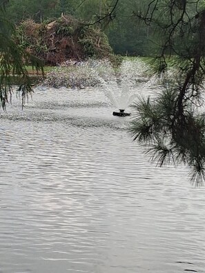 A tranquil lake with a fountain in the center, surrounded by dense greenery.