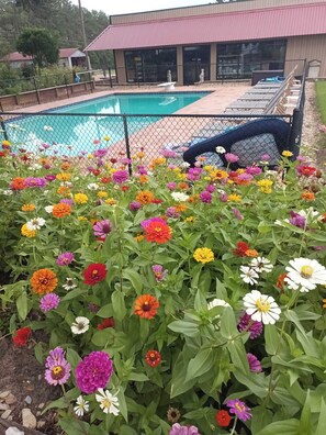 A swimming pool surrounded by a variety of colorful flowers, with a building in the background.