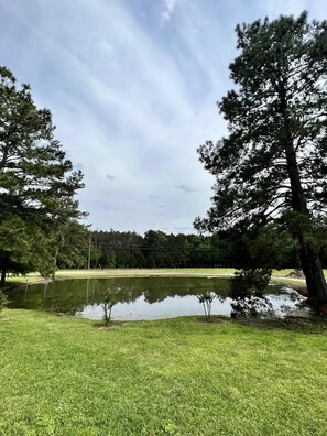 A serene park with a pond, trees, and a clear sky.