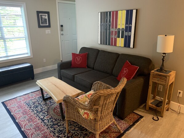 智能電視、壁爐、書籍、音響