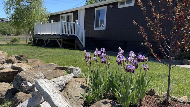 Una casa con un portico, un piccolo albero e fiori viola nel giardino.