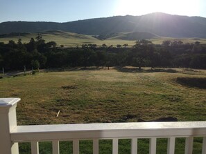 Property grounds - Come relax, work & enjoy country air. (Ashland)