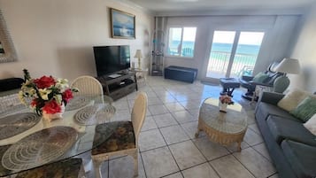 TV, DVD player, books, video library