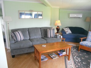 Smart TV, DVD player, video library, stereo