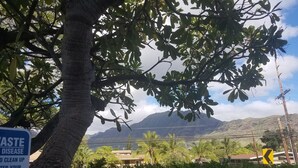 Une vue d’un quartier résidentiel avec une montagne en arrière-plan, un panneau indiquant où jeter les excréments des animaux de compagnie et un panneau de signalisation routière jaune.