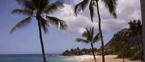 On the beach, sun loungers, beach towels