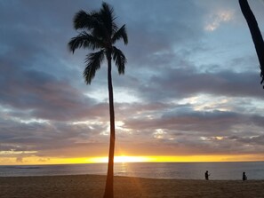 On the beach, sun-loungers, beach towels - Beach condo on  ground floor. contact for 30 day or more rental discounts (Waianae)