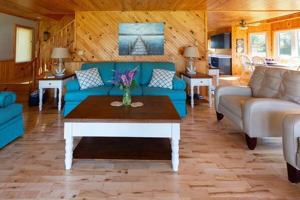 スマートテレビ、暖炉、DVD プレーヤー、書庫