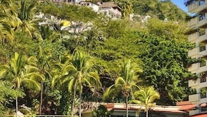 Un barco llamado DAM VIII anclado cerca de una playa con edificios y palmeras al fondo.
