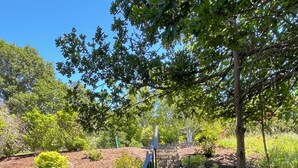 A stone staircase with metal railings leading up to a higher level, surrounded by greenery and trees.