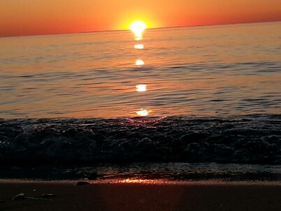 Perfect Home for All Seasons