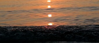 Perfect Home for All Seasons