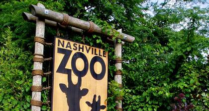 Charming 5BR 5BA home with driveway and yard near downtown!