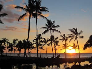 Beach nearby, sun loungers, beach towels - Private, Peaceful, Perfect!  (Waimea)