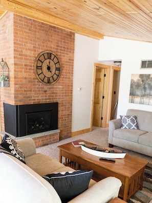 Smart TV, fireplace, DVD player, books