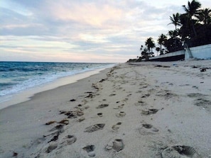 Una playa con huellas en la arena, palmeras y un mar tranquilo.