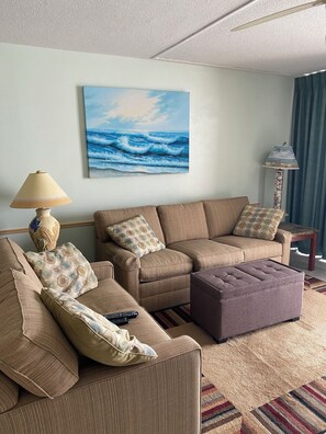 Smart-tv, een open haard, een dvd-speler en boeken