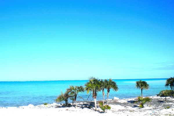 View from the back porch.