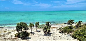 Ubicación a pie de playa, tumbonas y toallas de playa