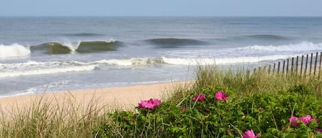 Plage à proximité