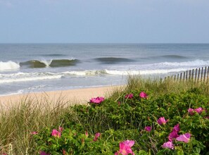 Een strand met golven, een zandstrand en roze bloemen op de voorgrond.