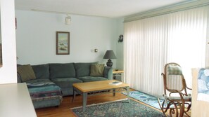 Smart TV, chimenea, reproductor de DVD, libros