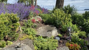 A garden with various plants, rocks, and a statue. - Serene getaway close to the beach with garden for couples or solo adventurers  (Port Hadlock-Irondale)