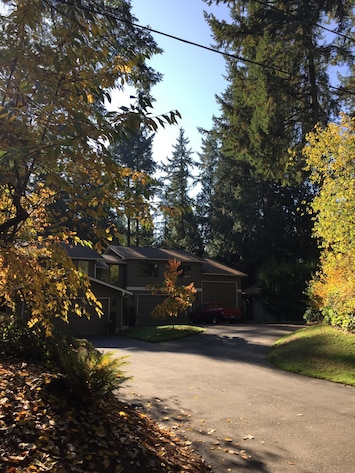 Wooded, secluded, quiet neighborhood (dead-end road).