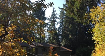 Wine Country Hollywood Hill Home In Woodinville