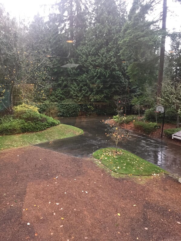 Ample parking and feel free to use the basketball hoop in the main driveway. - Wine Country Hollywood Hill Home In Woodinville (Woodinville)