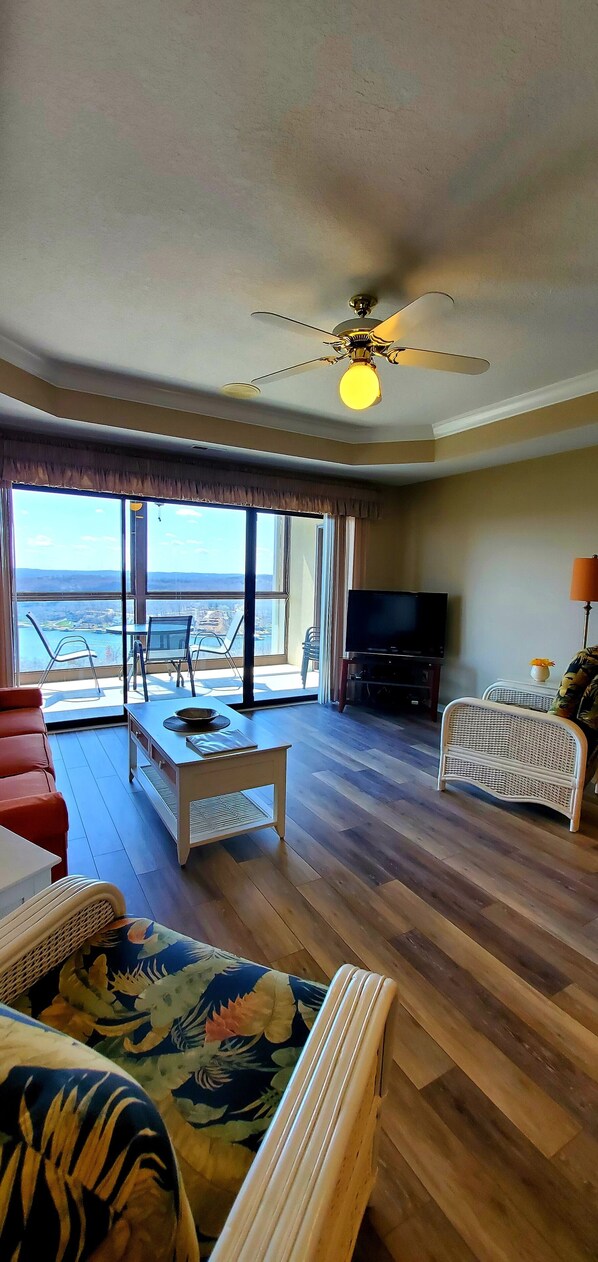 Taulutelevisio, DVD-soitin