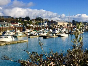 Marina