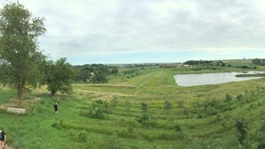 Ein Blick auf eine üppige, grüne Landschaft mit einem Teich und Windkraftanlagen in der Ferne.