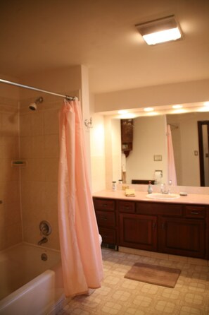Combined shower/bathtub, hair dryer, towels, soap - Historic Village Retreat Convienient To Everything (Chester Springs)