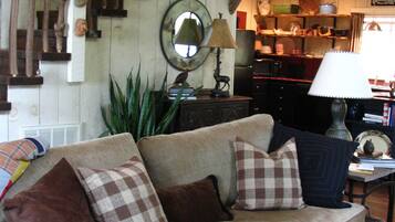 Smart TV, fireplace, DVD player, books