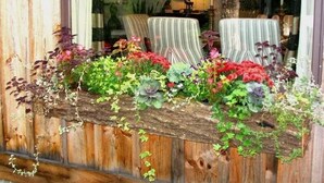 Een rustieke houten bank met een plantenbak vol diverse planten en bloemen.